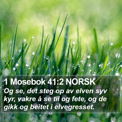 1 Mosebok 41:2 NORSK Bible Verse Image