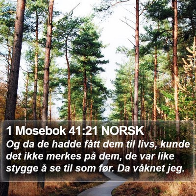 1 Mosebok 41:21 NORSK Bible Verse Image