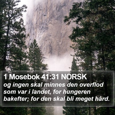 1 Mosebok 41:31 NORSK Bible Verse Image