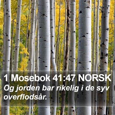 1 Mosebok 41:47 NORSK Bible Verse Image