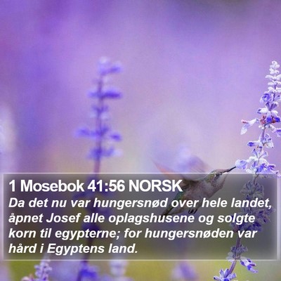 1 Mosebok 41:56 NORSK Bible Verse Image
