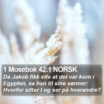 1 Mosebok 42:1 NORSK Bible Verse Image