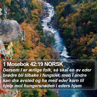 1 Mosebok 42:19 NORSK Bible Verse Image