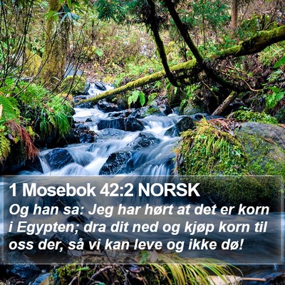 1 Mosebok 42:2 NORSK Bible Verse Image