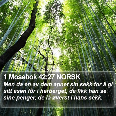 1 Mosebok 42:27 NORSK Bible Verse Image
