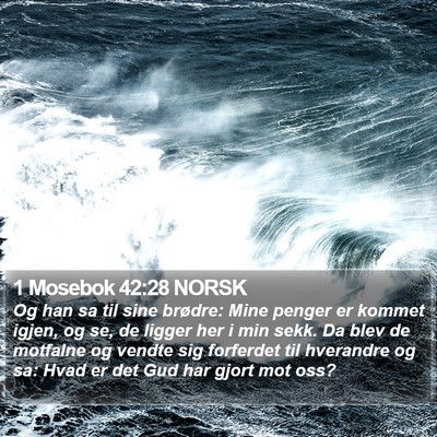 1 Mosebok 42:28 NORSK Bible Verse Image