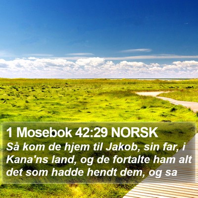 1 Mosebok 42:29 NORSK Bible Verse Image