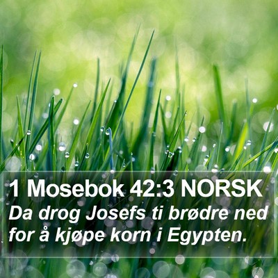 1 Mosebok 42:3 NORSK Bible Verse Image