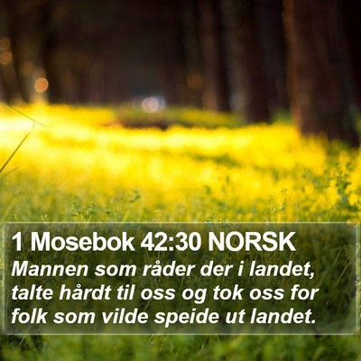 1 Mosebok 42:30 NORSK Bible Verse Image