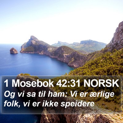 1 Mosebok 42:31 NORSK Bible Verse Image