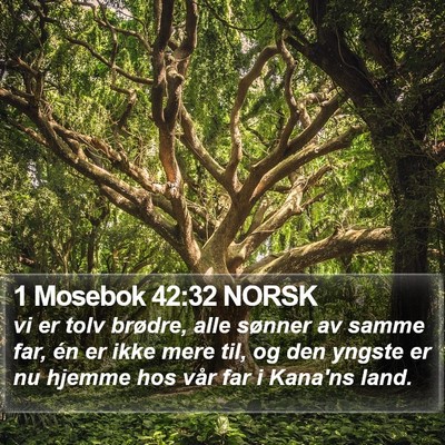 1 Mosebok 42:32 NORSK Bible Verse Image