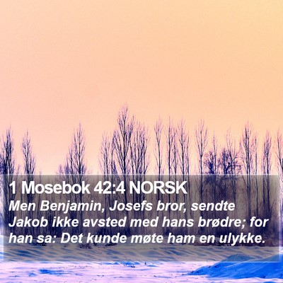 1 Mosebok 42:4 NORSK Bible Verse Image