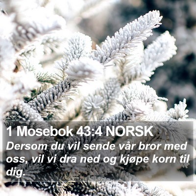 1 Mosebok 43:4 NORSK Bible Verse Image