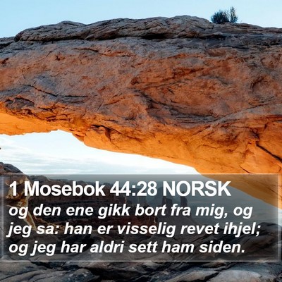 1 Mosebok 44:28 NORSK Bible Verse Image
