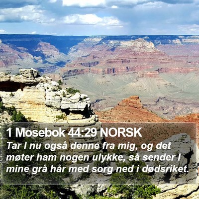 1 Mosebok 44:29 NORSK Bible Verse Image