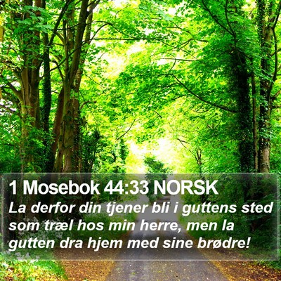 1 Mosebok 44:33 NORSK Bible Verse Image