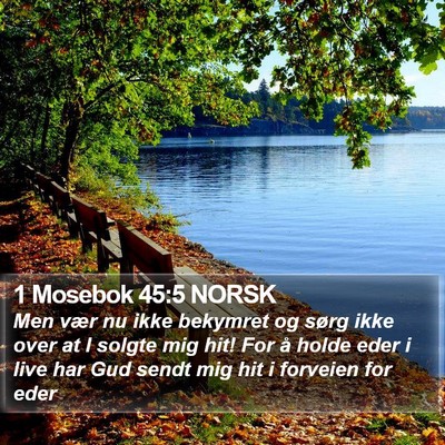 1 Mosebok 45:5 NORSK Bible Verse Image