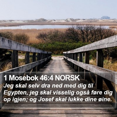 1 Mosebok 46:4 NORSK Bible Verse Image