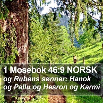 1 Mosebok 46:9 NORSK Bible Verse Image
