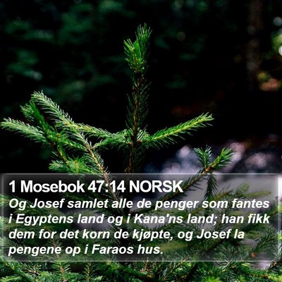 1 Mosebok 47:14 NORSK Bible Verse Image