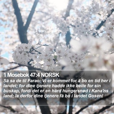 1 Mosebok 47:4 NORSK Bible Verse Image