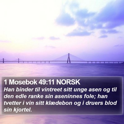 1 Mosebok 49:11 NORSK Bible Verse Image