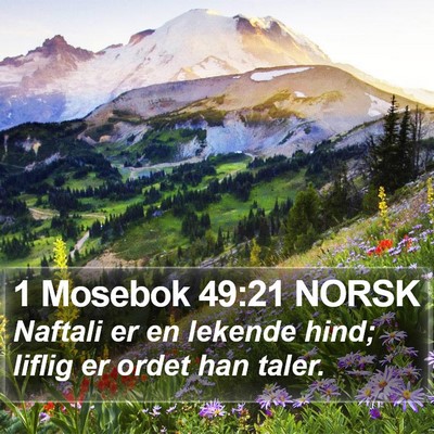 1 Mosebok 49:21 NORSK Bible Verse Image