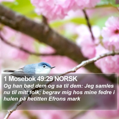 1 Mosebok 49:29 NORSK Bible Verse Image