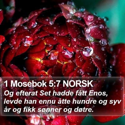 1 Mosebok 5:7 NORSK Bible Verse Image