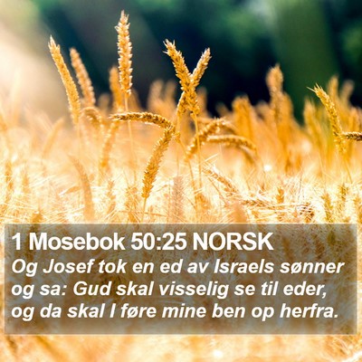 1 Mosebok 50:25 NORSK Bible Verse Image