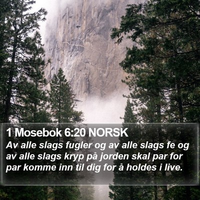 1 Mosebok 6:20 NORSK Bible Verse Image