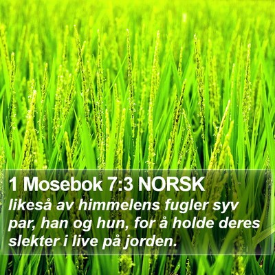 1 Mosebok 7:3 NORSK Bible Verse Image