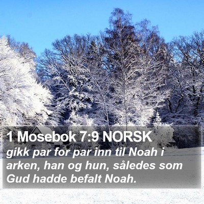 1 Mosebok 7:9 NORSK Bible Verse Image