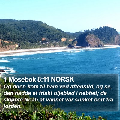 1 Mosebok 8:11 NORSK Bible Verse Image