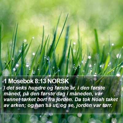 1 Mosebok 8:13 NORSK Bible Verse Image