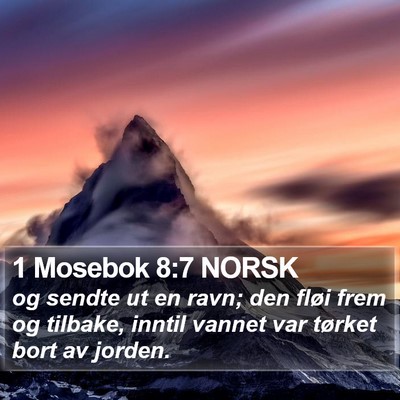 1 Mosebok 8:7 NORSK Bible Verse Image