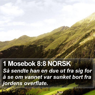 1 Mosebok 8:8 NORSK Bible Verse Image