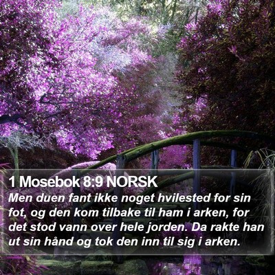 1 Mosebok 8:9 NORSK Bible Verse Image