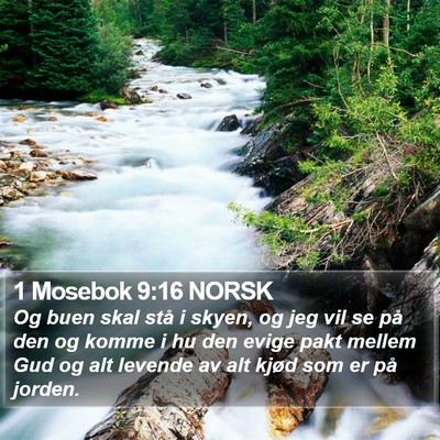 1 Mosebok 9:16 NORSK Bible Verse Image
