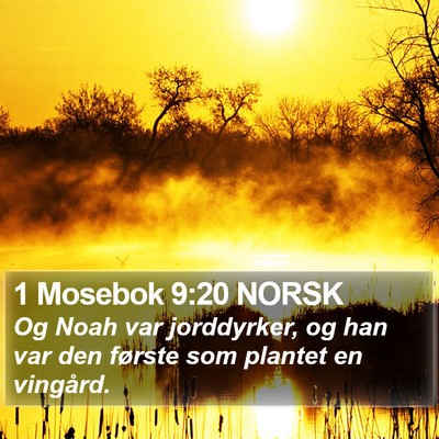 1 Mosebok 9:20 NORSK Bible Verse Image
