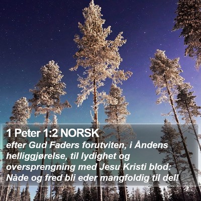1 Peter 1:2 NORSK Bible Verse Image