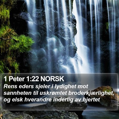 1 Peter 1:22 NORSK Bible Verse Image