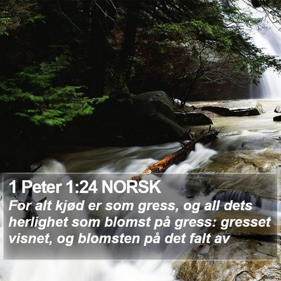 1 Peter 1:24 NORSK Bible Verse Image