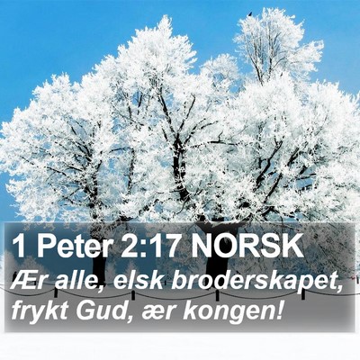 1 Peter 2:17 NORSK Bible Verse Image