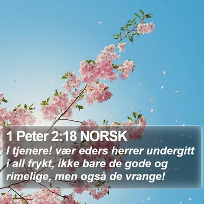 1 Peter 2:18 NORSK Bible Verse Image