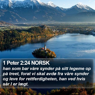 1 Peter 2:24 NORSK Bible Verse Image