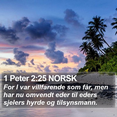 1 Peter 2:25 NORSK Bible Verse Image