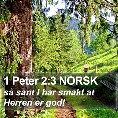 1 Peter 2:3 NORSK Bible Verse Image