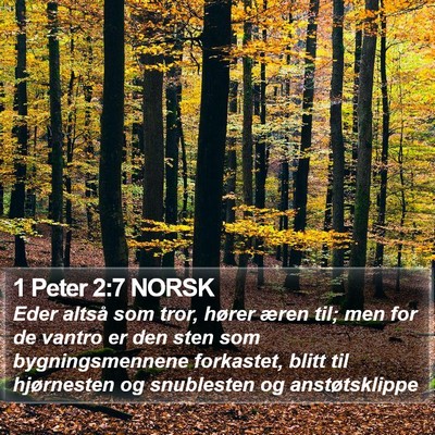 1 Peter 2:7 NORSK Bible Verse Image