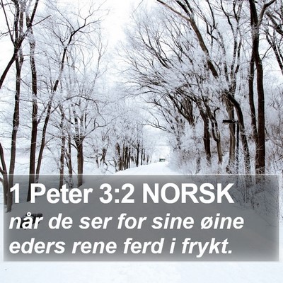 1 Peter 3:2 NORSK Bible Verse Image